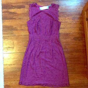 NWT Brixon Ivy Fuschia lace dress